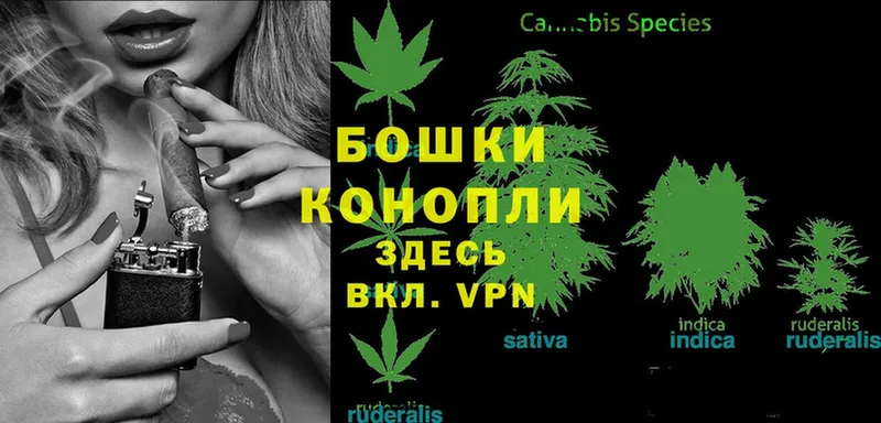 Шишки марихуана Ganja  Воркута 